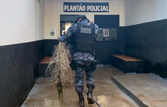 Fiscalização rio arinos