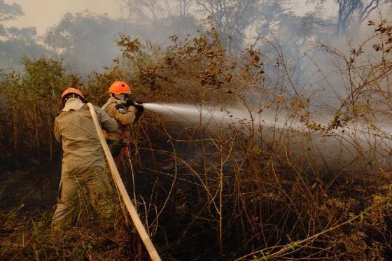 Combate ao incêndio MT