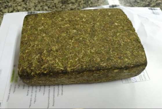 DROGA MACONHA