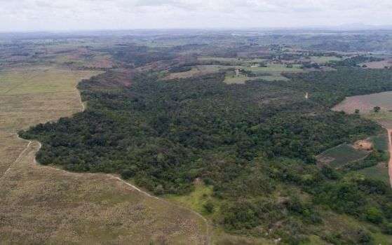 área de preservação 