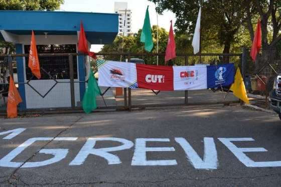 Greve Professores MT