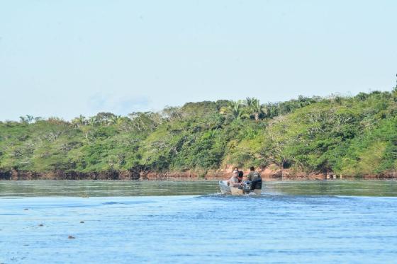 PIRACEMA MT