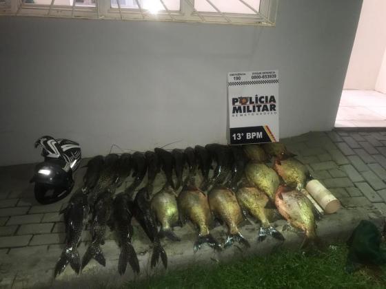 Peixes furtados LRV