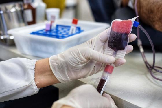 doação de sangue