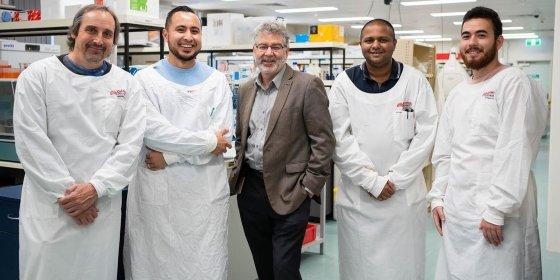 Equipe da Griffith University desenvolveu o antiviral contra a Covid-19, que foi testado com sucesso em camundongos 