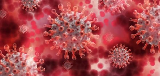 CORONAVIRUS COVID-19