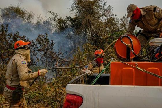 Bombeiros Queimadas