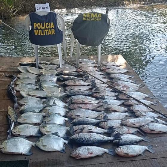 Apreensão de pescado na região de Sinop