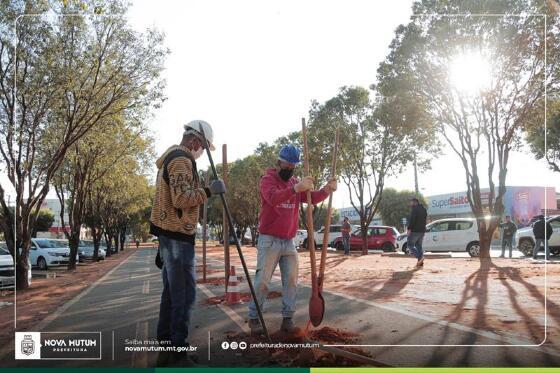 Revitalização da Avenida dos Uirapurus