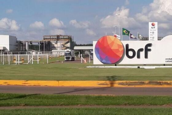 BRF LUCAS DO RIO VERDE