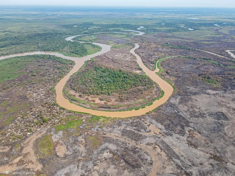 INENDIO PANTANAL