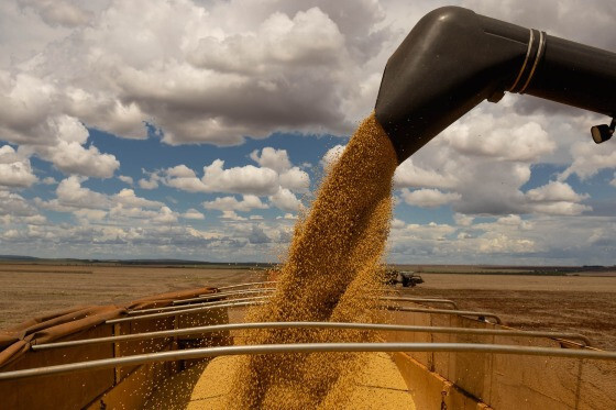 Mato Grosso segue sendo o maior produtor do país.