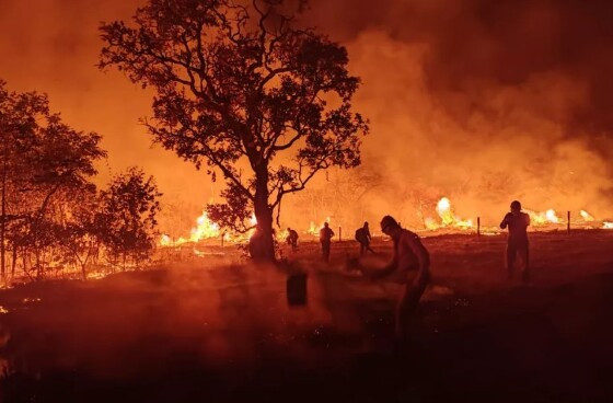 incêndio pantanal 