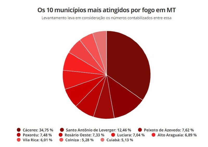 gráfico queimadas