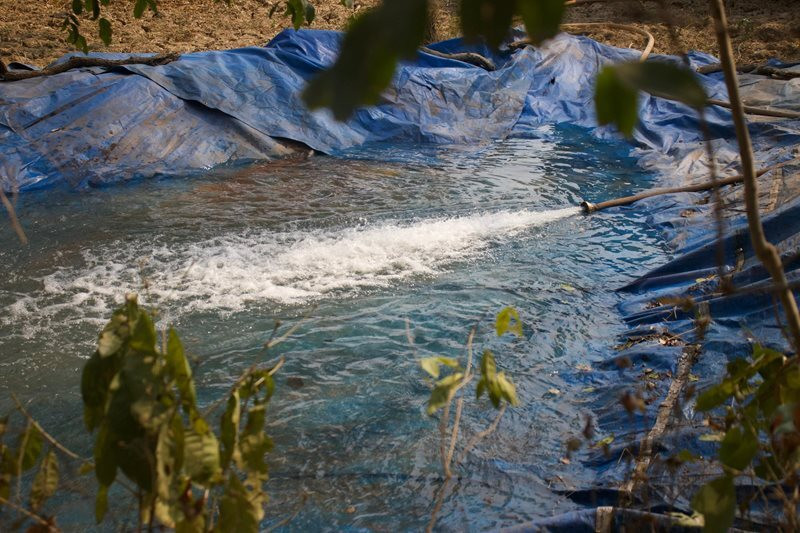 agua pantanal