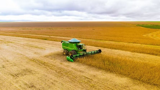 Lavoura de soja em Mato Grosso. Preço médio no Estado chegou a R$ 129 a saca de 60 quilos, segundo o Imea.