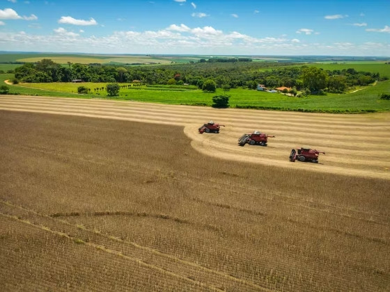 Desde a década de 1970, o Brasil se tornou importante fornecedor mundial de alimentos.