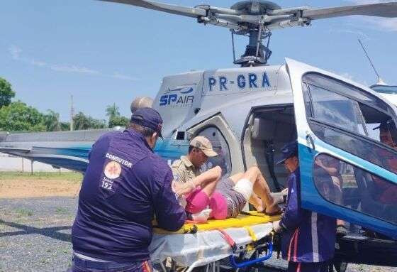 Turista italiana é atacada por búfalo no Pantanal de MT.