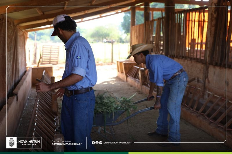 escola agrícola ranchão