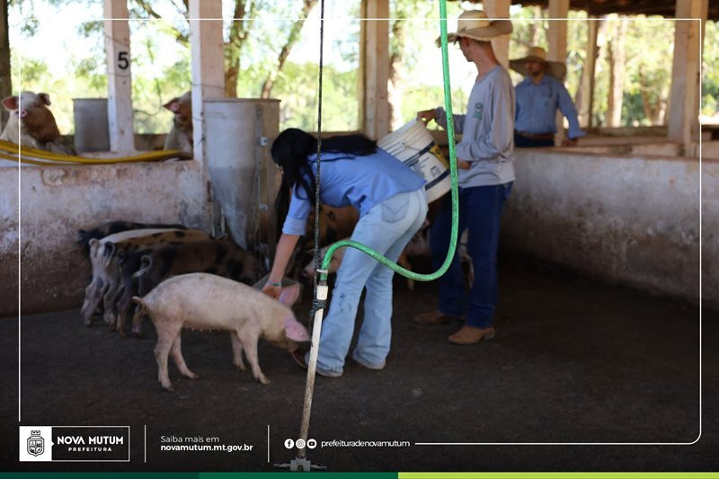 escola agrícola ranchão