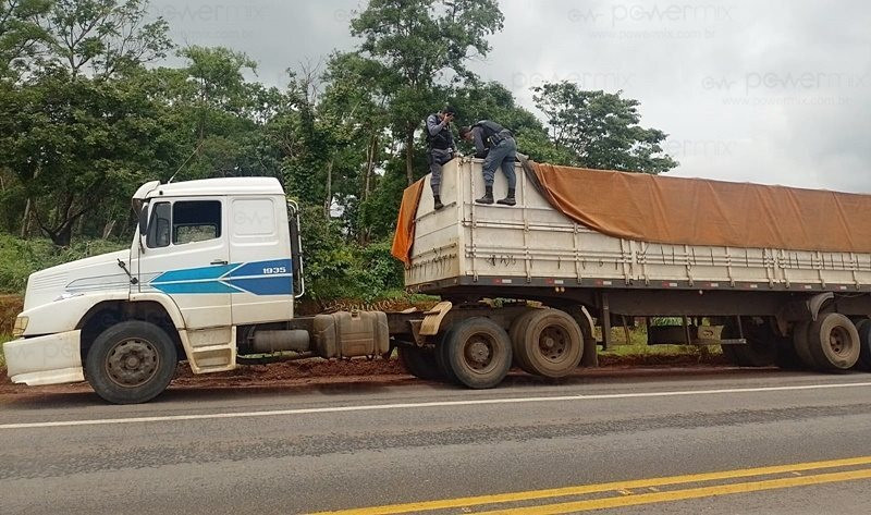 prisão de defensivos agrícolas trivelato