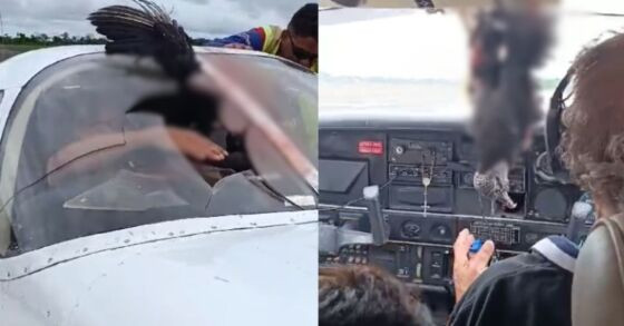 A colisão assustou pilotos e passageiros.