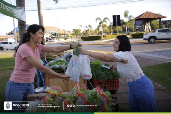 feira agricultura