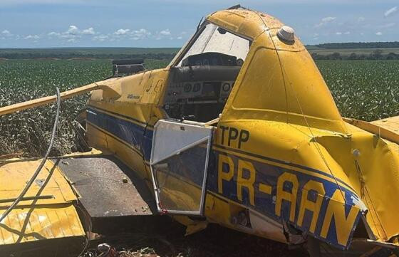 Avião realizava pulverização agrícola em uma fazenda da região, quando caiu. 