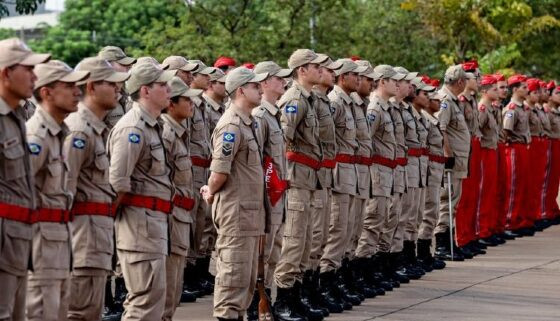 seletivo bombeiros