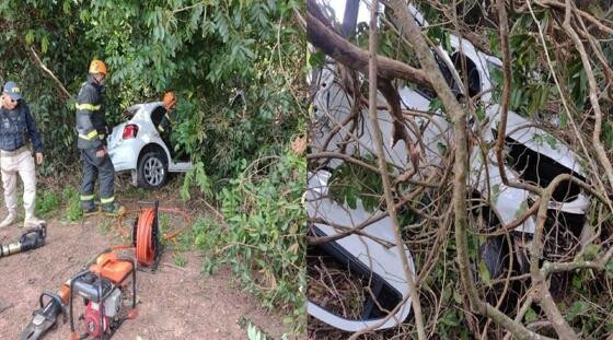 Situação do carro após a colisão em uma árvore.