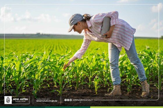 Agricultura e Agronegócio