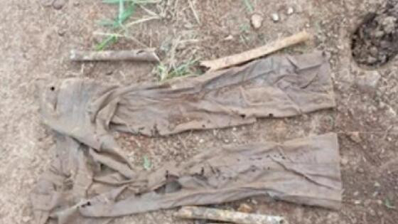 Ossada humana é encontrada em fazenda no interior de MT.