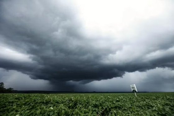 CHUVA NO CAMPO