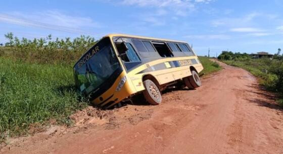 busão floresta