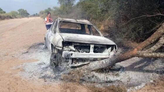 Homem foi atacado por abelhas e bateu o carro.