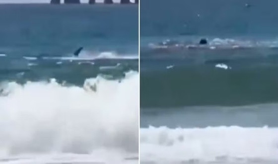banhista no mar