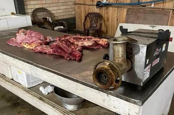 carne de cavalo