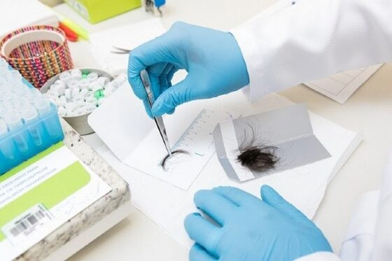 Laboratório