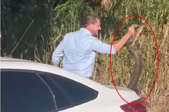 prefeito com cobra na mão