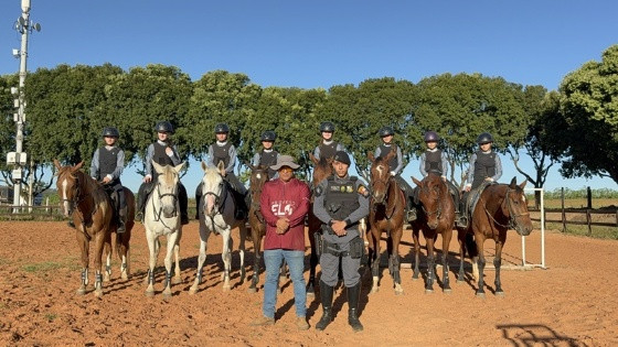Cavalaria equipe