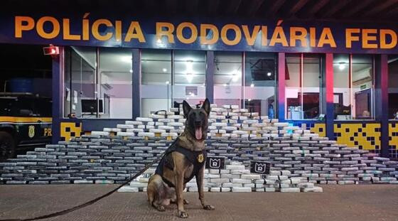K9 encontrou a droga.