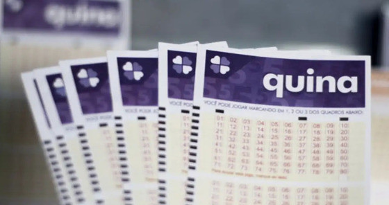quina capa