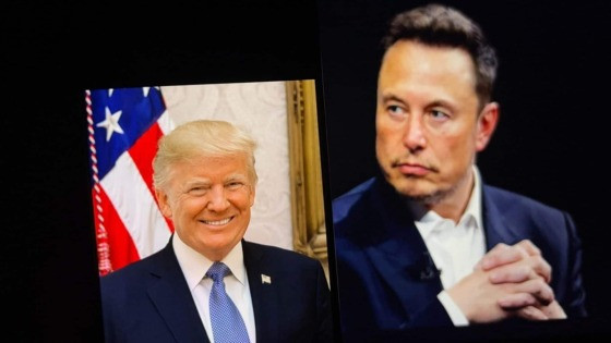 capa elon