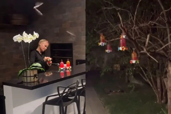 xuxa com morcegos