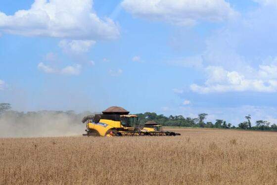 agro 