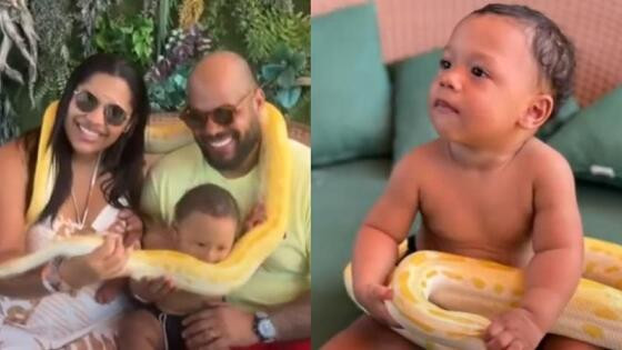 bebê mordendo cobra
