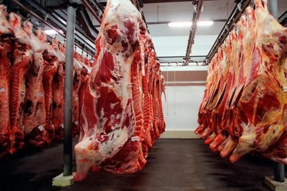 CARNE