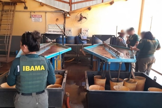 apreensão ibama