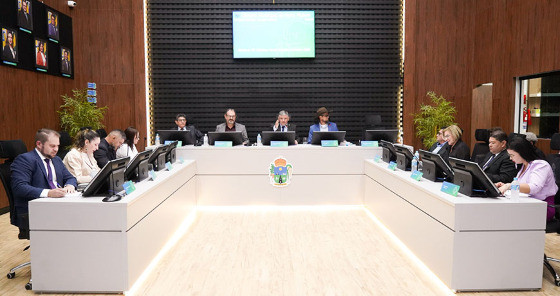 CAPA CAMARA