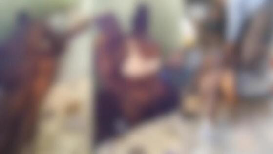 casal ''colado''